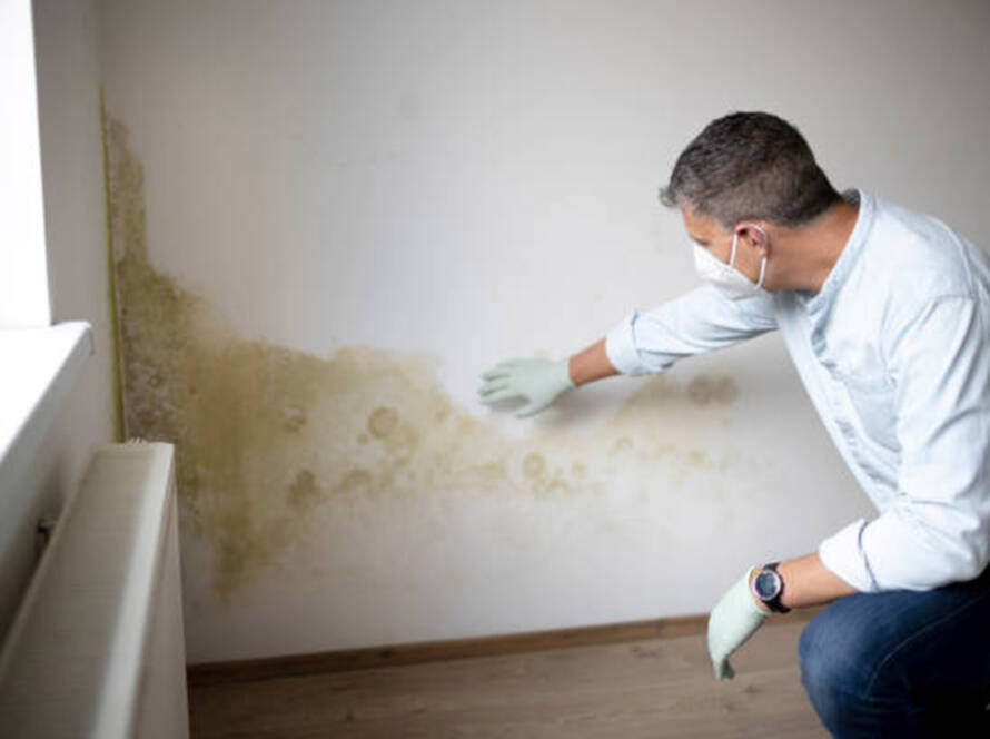 tegn-paa-at-dit-hjem-traenger-til-et-nyt-lag-maling