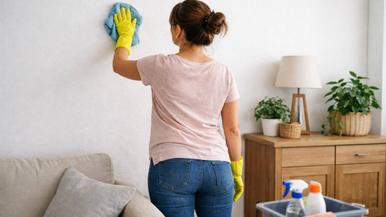 oedelaegger-vask-af-malede-vaegge-dem